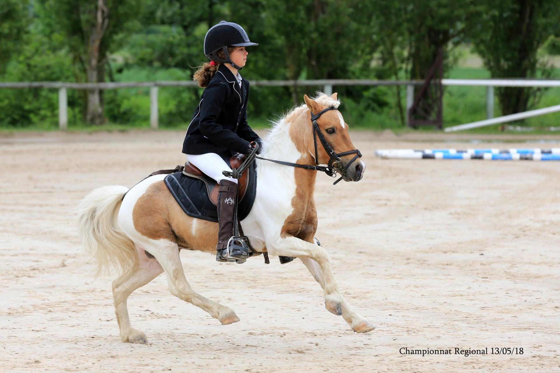 Poly pocket d epona 4
