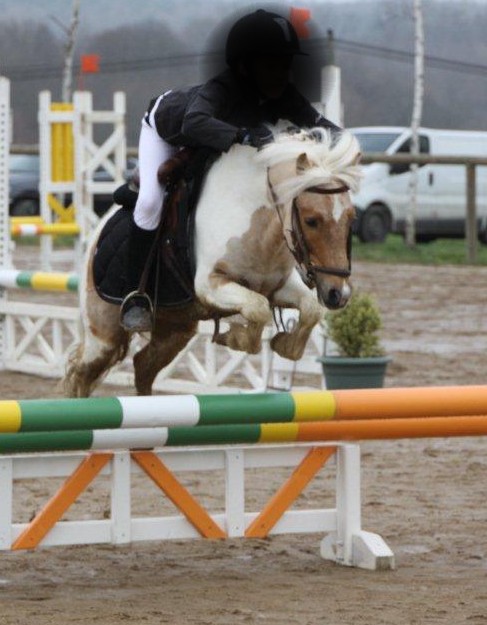 poly-pocket-d-epona-7.jpg