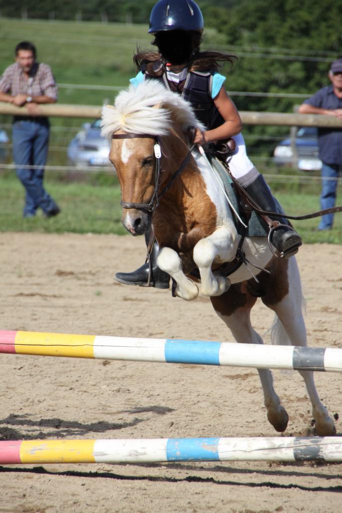 poly-pocket-d-epona-9.jpg