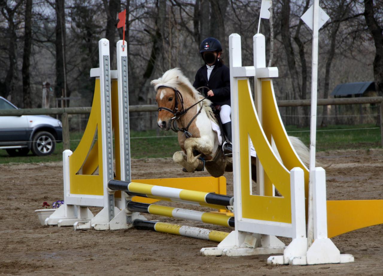 poly-pocket-d-epona.jpg