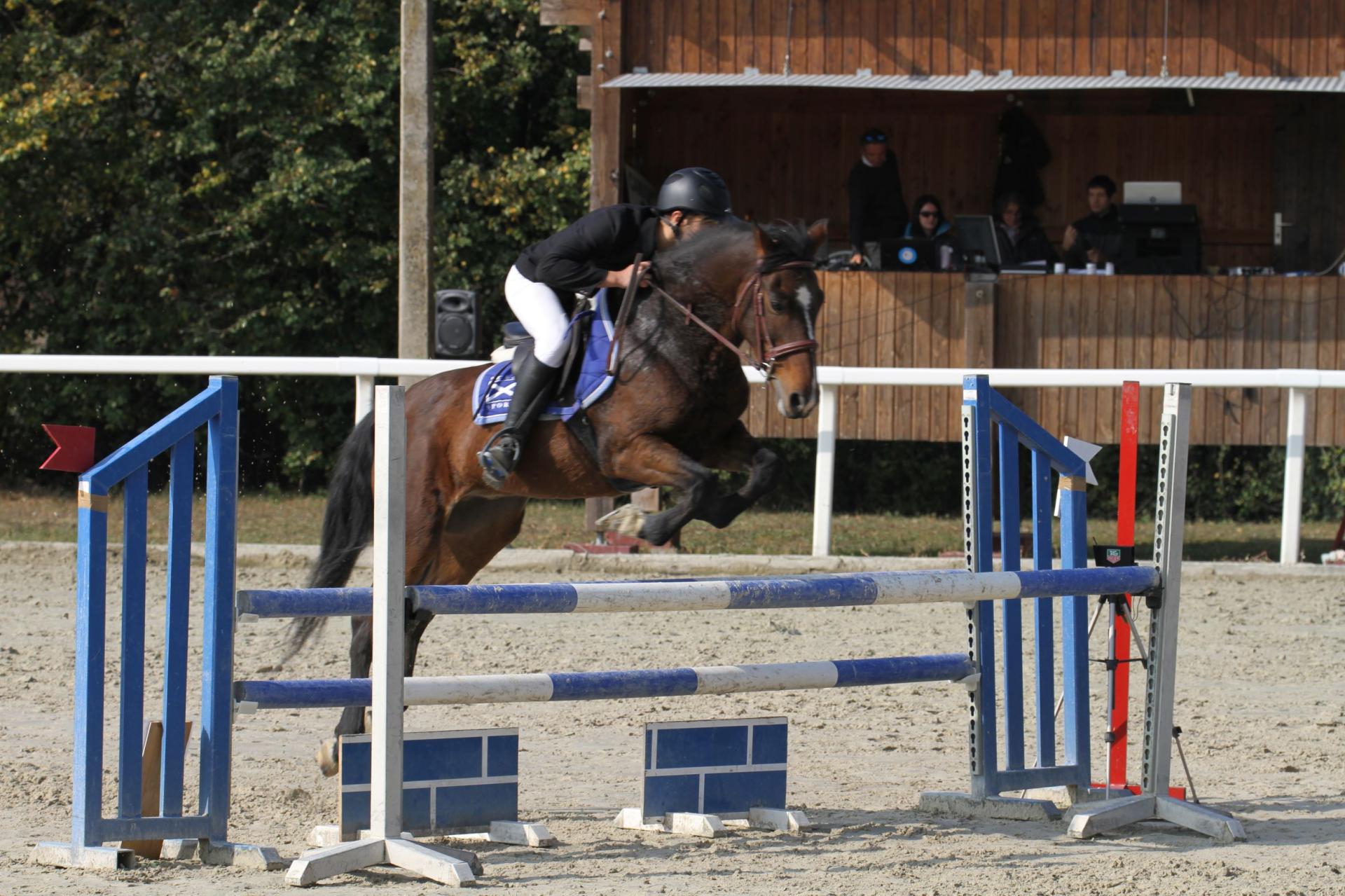 Quidam d epona 2 1