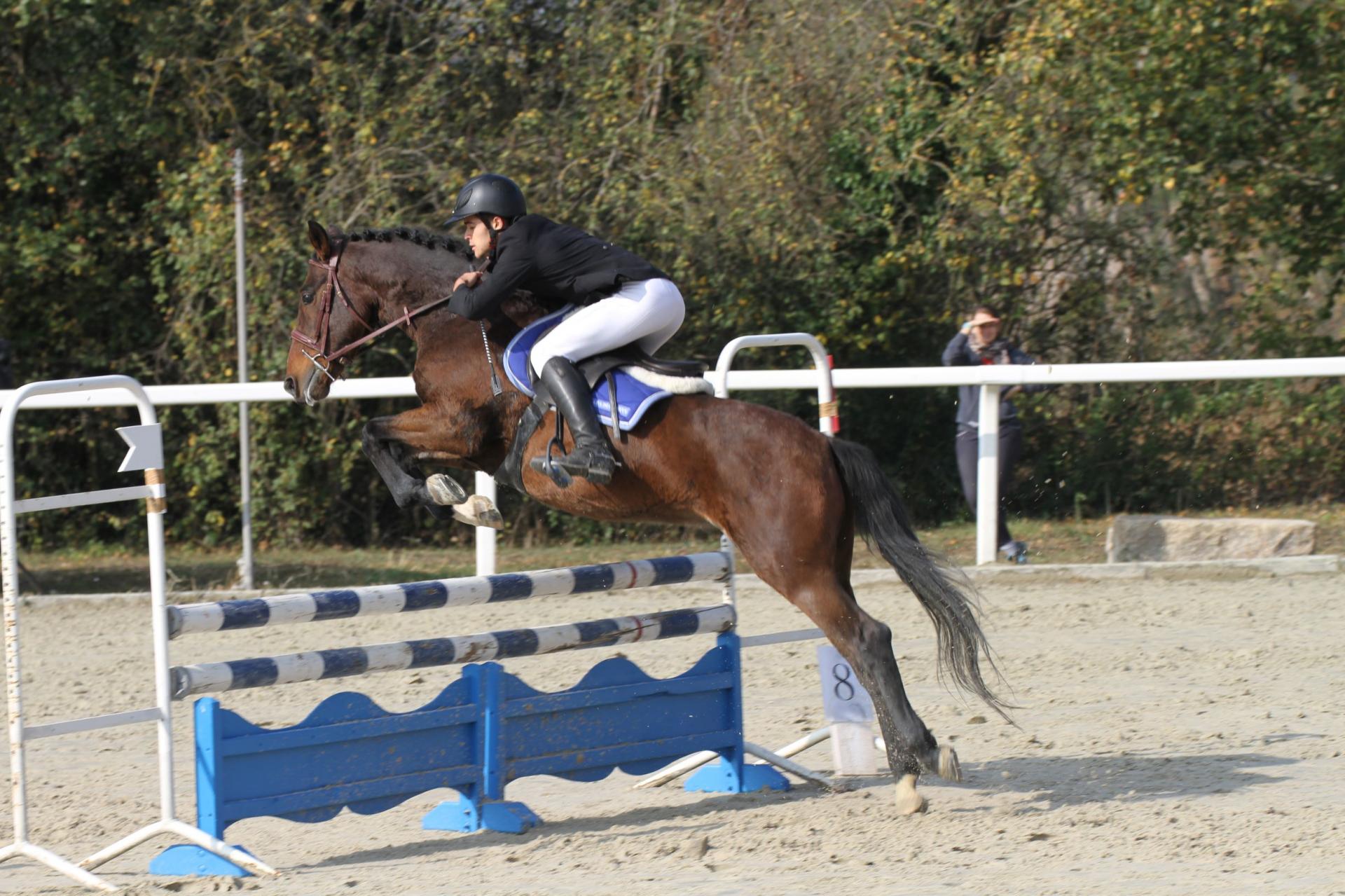 Quidam d epona 4