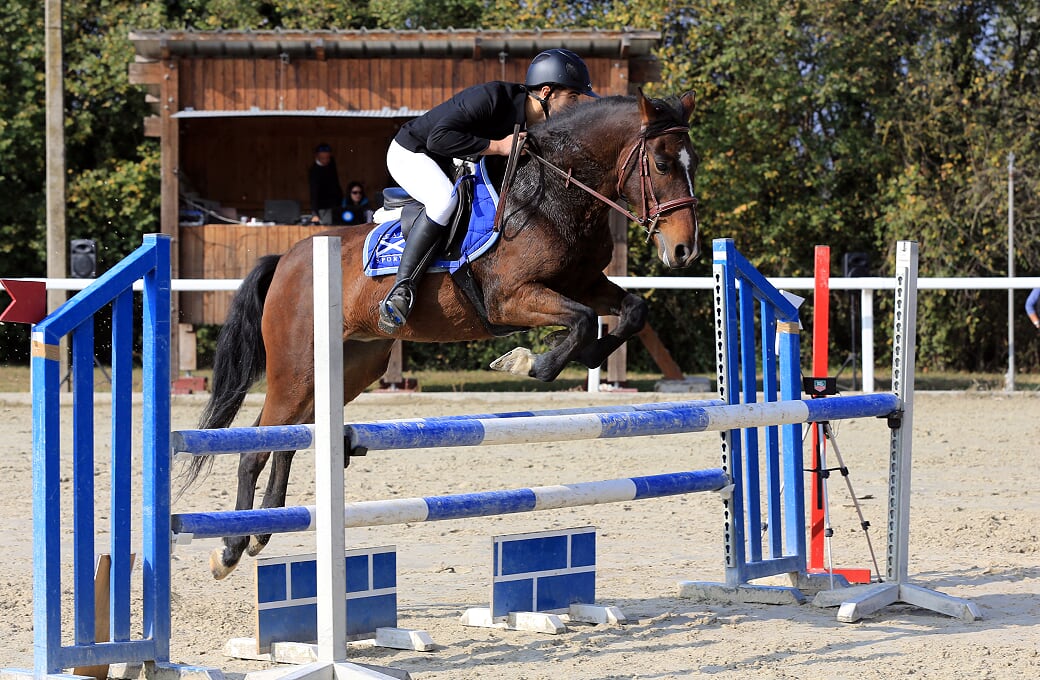 Quidam d epona 7