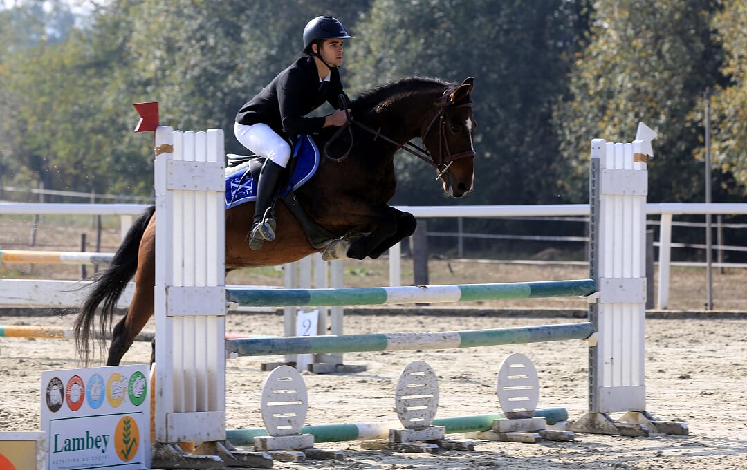 Quidam d epona 8