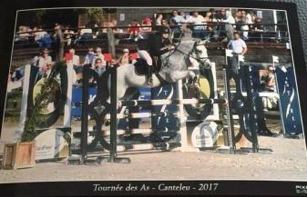 Schone des dauges 2018