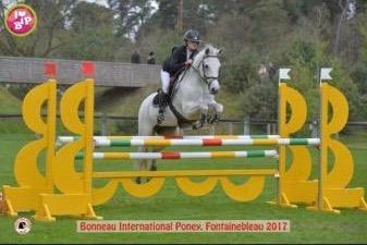 Schone des dauges