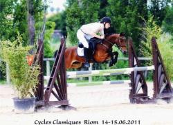 Spirit d'Epona