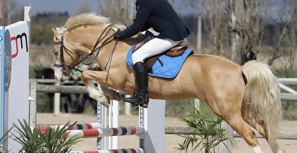 Ultima tom d epona 1