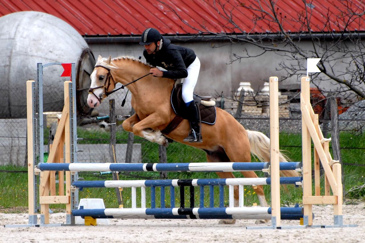 ultima-tom-d-epona-13.jpg