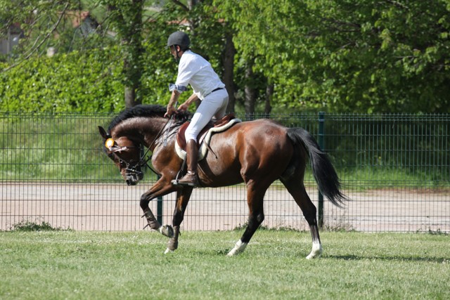 Vitto 3