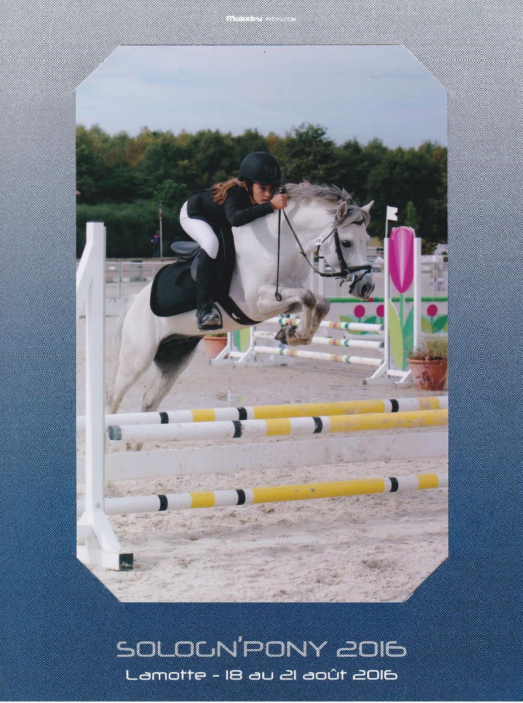 Voltaire elvey 2