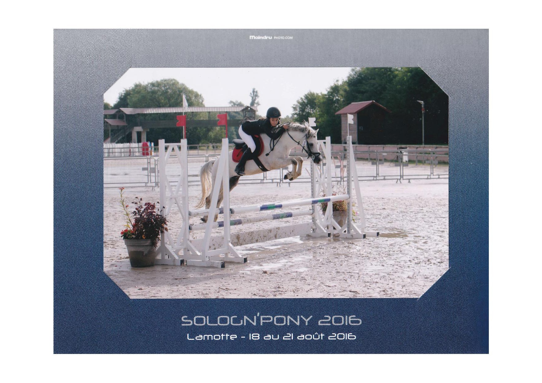 Voltaire elvey 4