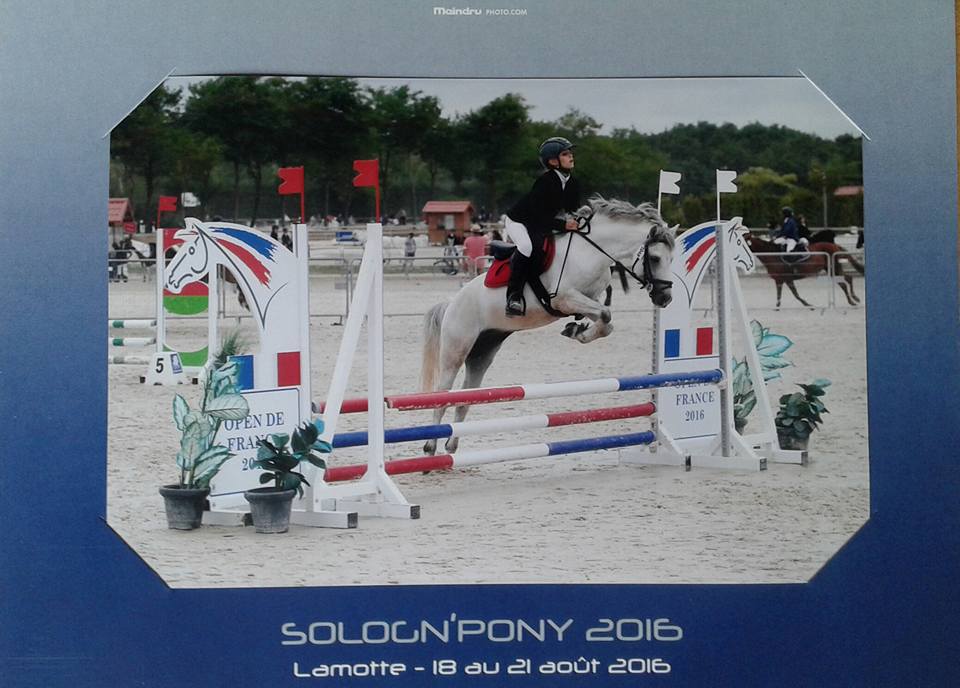 Voltaire elvey 5